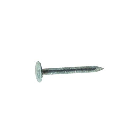 Grip-Rite Roofing Nail, 7/8 in L, Steel, Electro Galvanized Finish, 11 ga 78EGRFG1